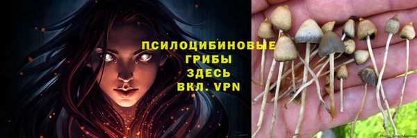не бодяженный Балахна