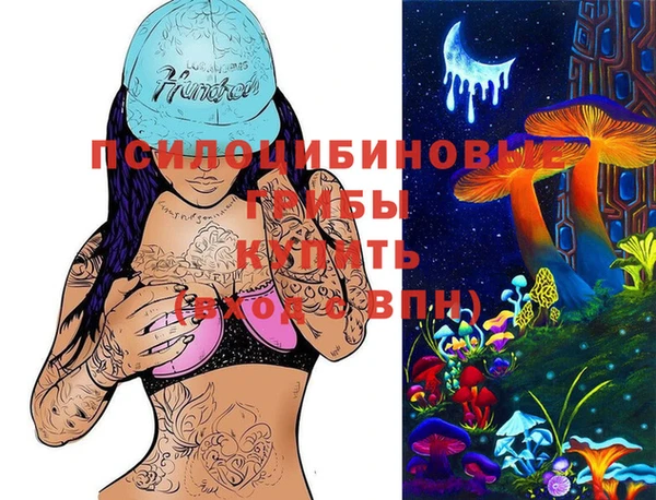 apvp Баксан