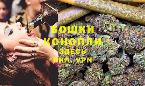 хмурый Аркадак